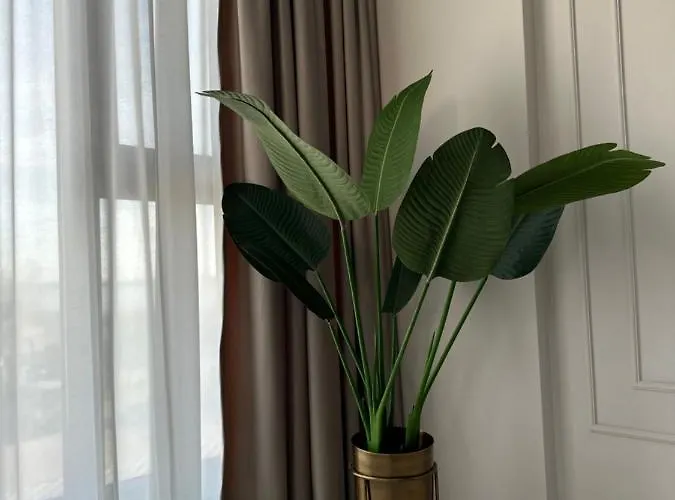 Mali By The - North *